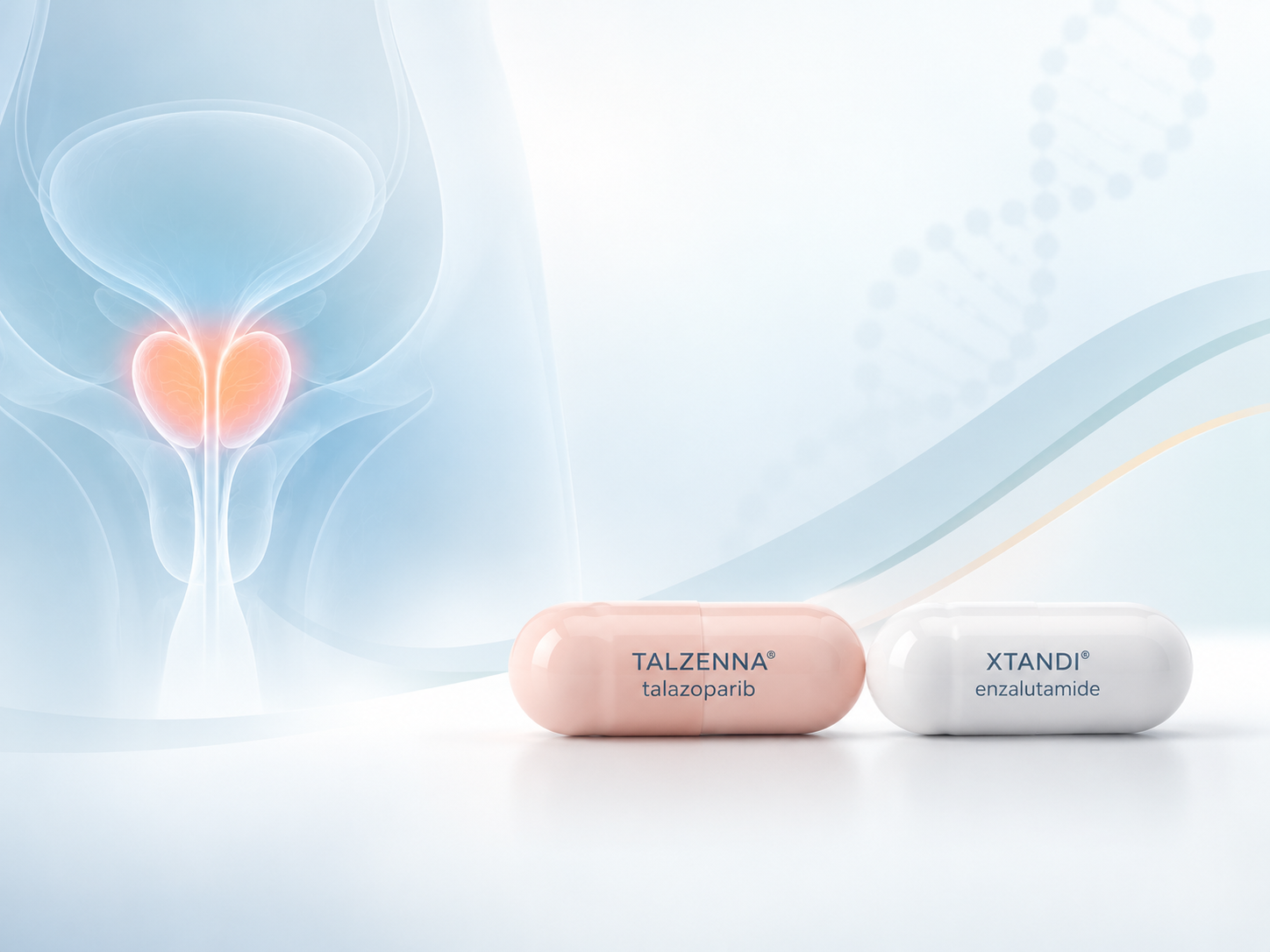 Pfizer TALZENNA plus XTANDI combination for HRR-mutated metastatic hormone-sensitive prostate cancer