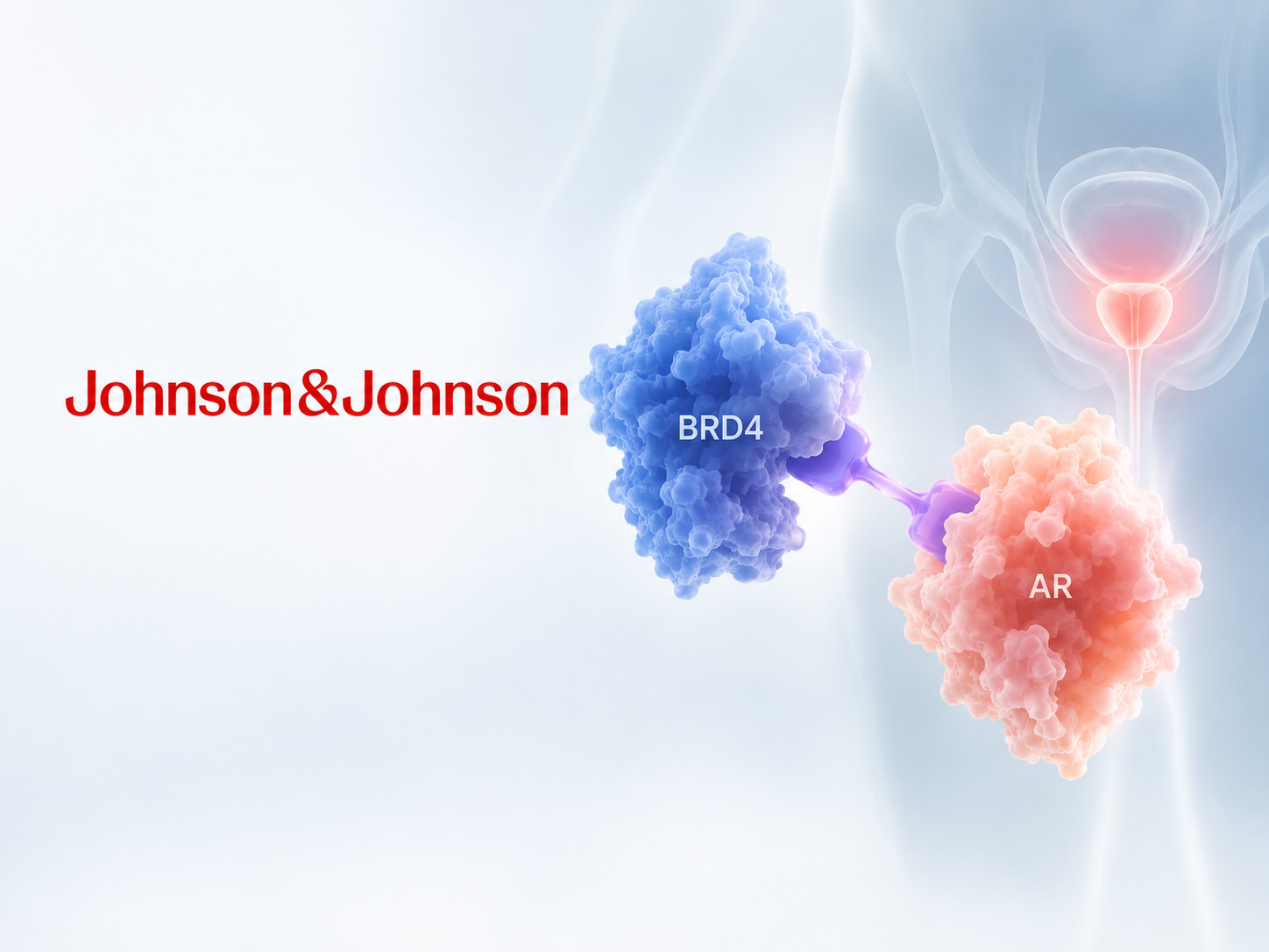 Illustration of targeted protein interaction and cancer cell activity in advanced prostate cancer, representing Johnson & Johnson’s investigational JNJ-6143 RIPTAC therapy.