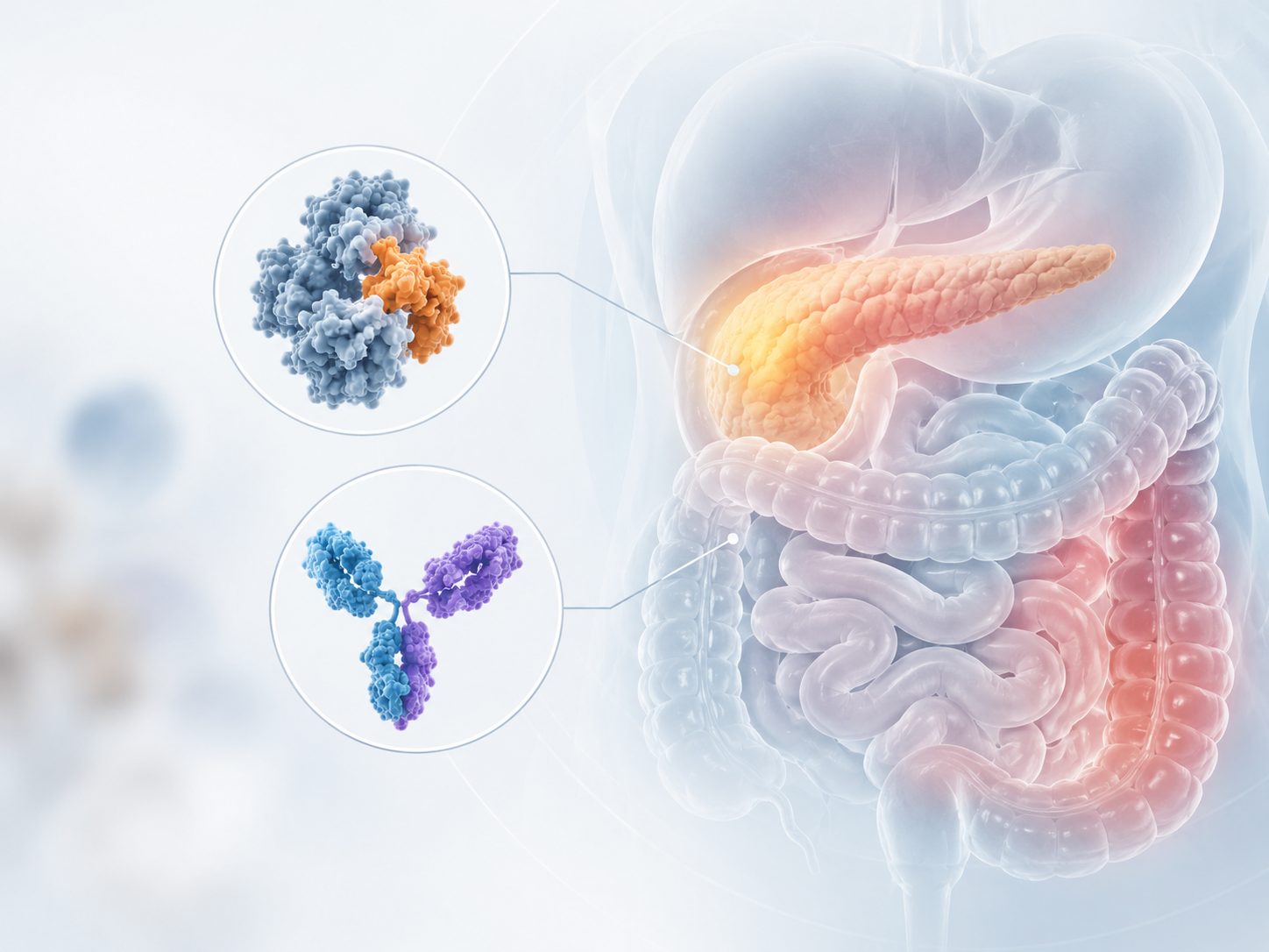 Investigational KRAS G12D inhibition and TGFβR2-PD-1 targeting strategies in pancreatic and colorectal cancer