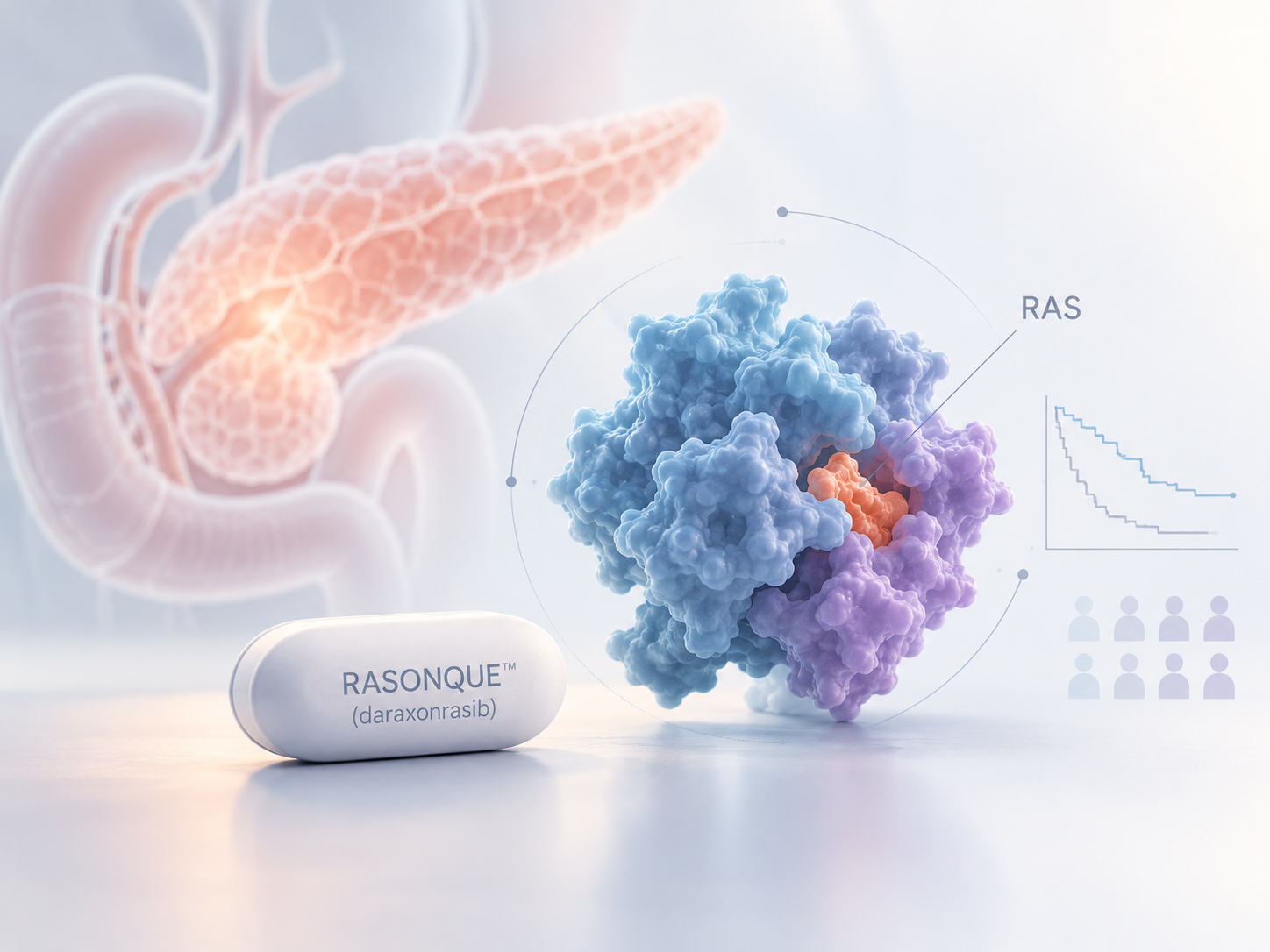 Minimalist medical illustration representing daraxonrasib and RAS signaling in pancreatic cancer research