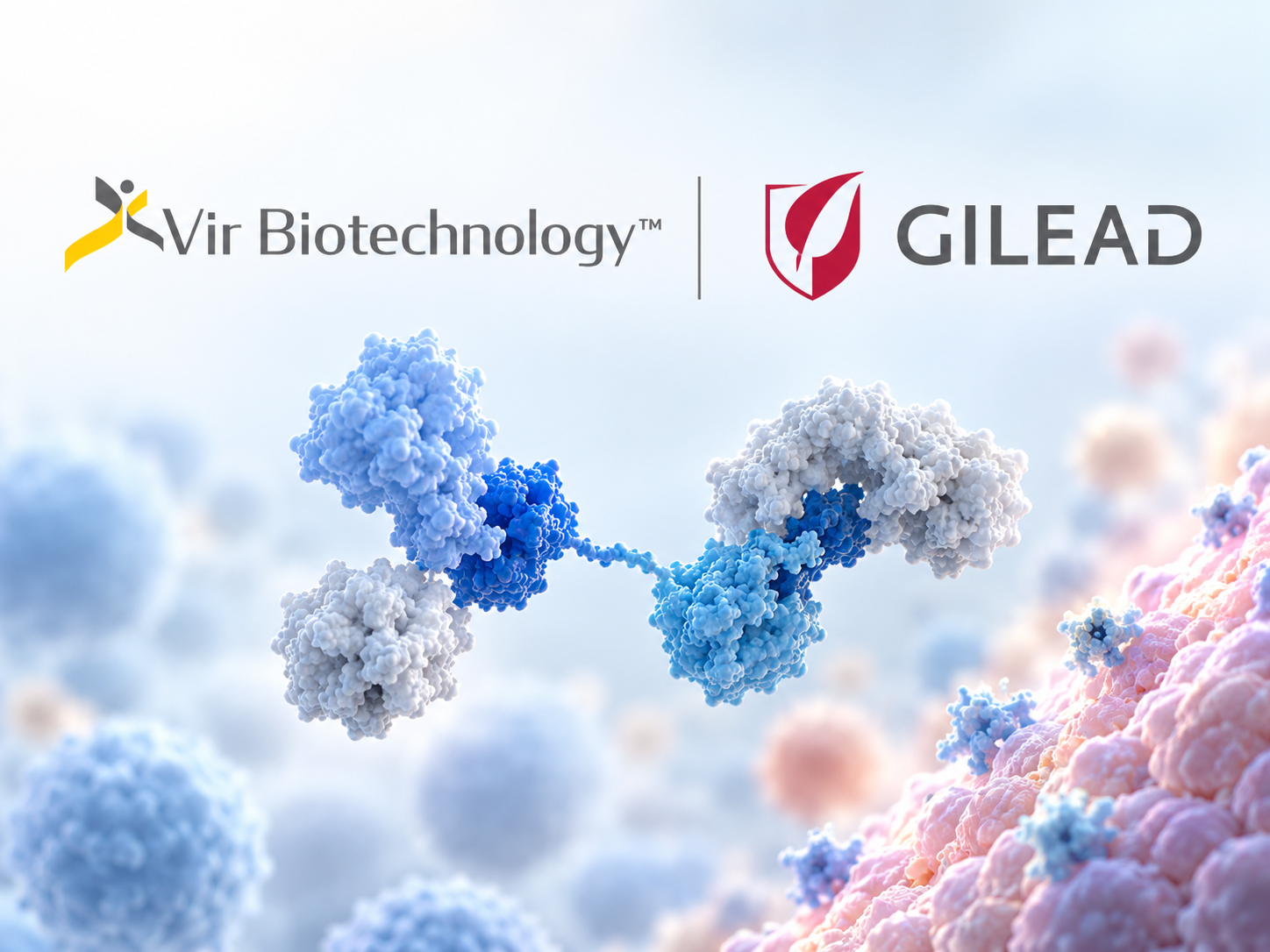 Vir Biotechnology and Gilead collaboration to develop PRO-XTEN dual-masked T-cell engagers for solid tumors.