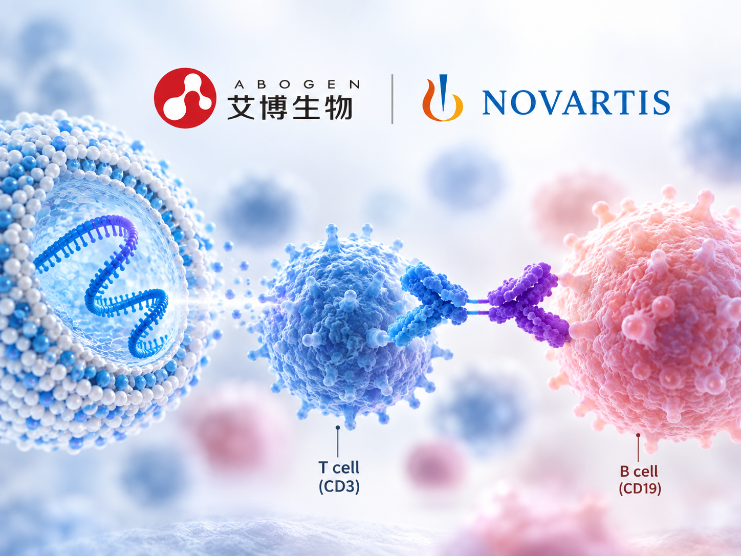 Abogen ABO2203 mRNA-encoded CD19 CD3 T-cell engager development