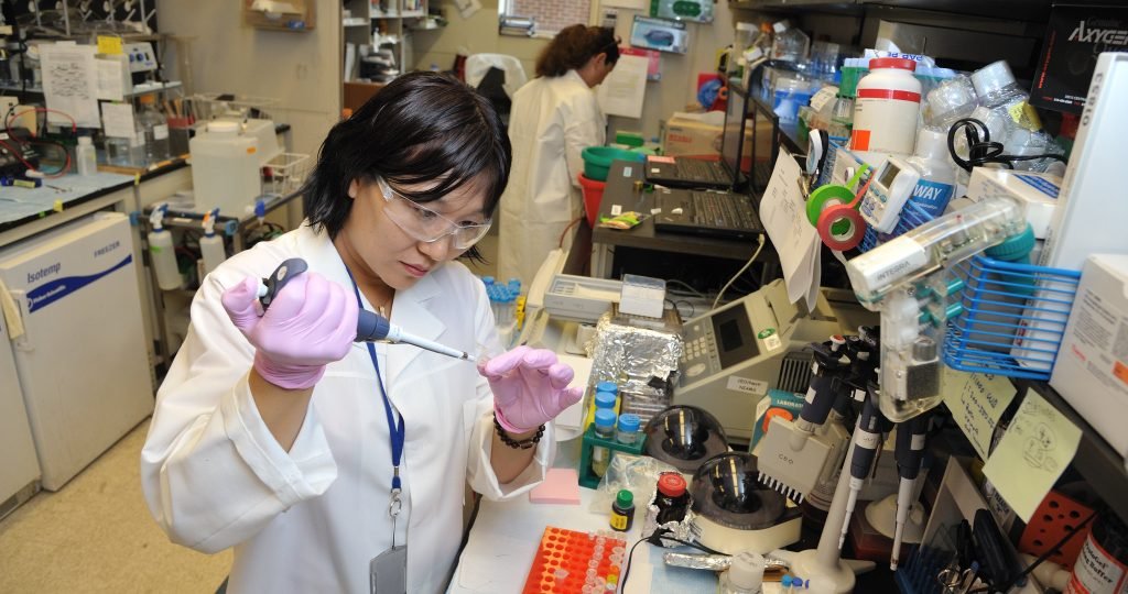 19730238293_dee027b3f9_k