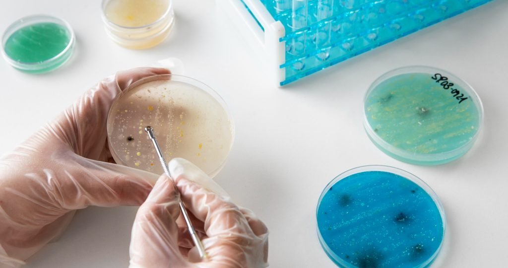A public health scientist analyzing bacterial cultures in a laboratory to monitor antimicrobial resistance.