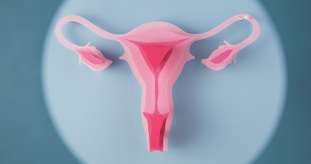 Illustration of selinexor (XPOVIO) maintenance therapy for TP53 wild-type advanced or recurrent endometrial cancer following Phase 3 XPORT-EC-042 trial results.