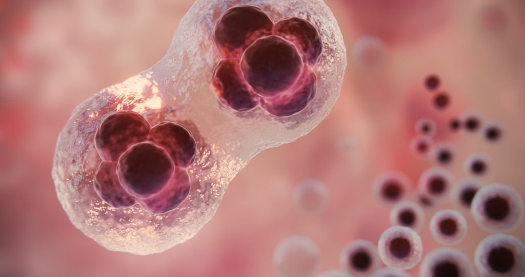 Ultomiris (ravulizumab) Phase III HSCT-TMA clinical trial showing adult study results and pediatric regulatory pathway