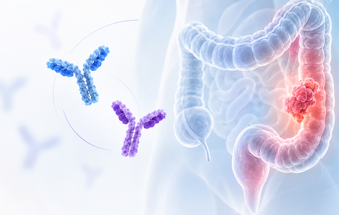 Illustration of immune checkpoint inhibition targeting locally advanced mismatch repair-deficient colon cancer with botensilimab and balstilimab.