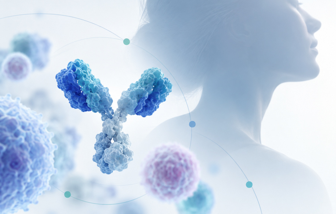 Illustration of immune cell signalling in Sjögren’s disease and investigational CD40L antagonist dazodalibep