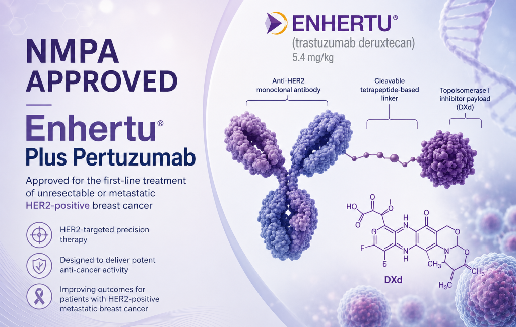 Enhertu plus pertuzumab approved in China for first-line HER2-positive metastatic breast cancer