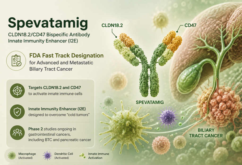 Spevatamig CLDN18.2 CD47 bispecific antibody receives FDA Fast Track designation for biliary tract cancer