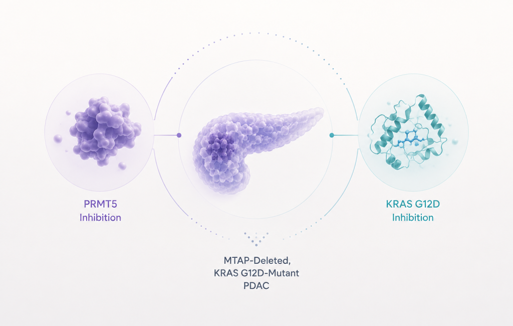 IDEAYA IDE892 and Genentech GDC-7035 combination targeting MTAP-deleted KRAS G12D-mutant pancreatic cancer