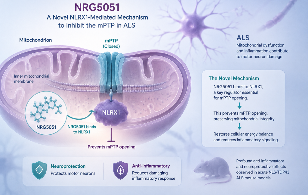NRG5051 NLRX1-mediated mPTP mechanism for ALS