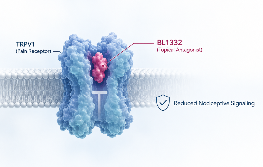 Bausch + Lomb advances dual-action dry eye eye drop to Phase 3 and reports positive Phase 1b results for BL1332 ocular surface pain treatment
