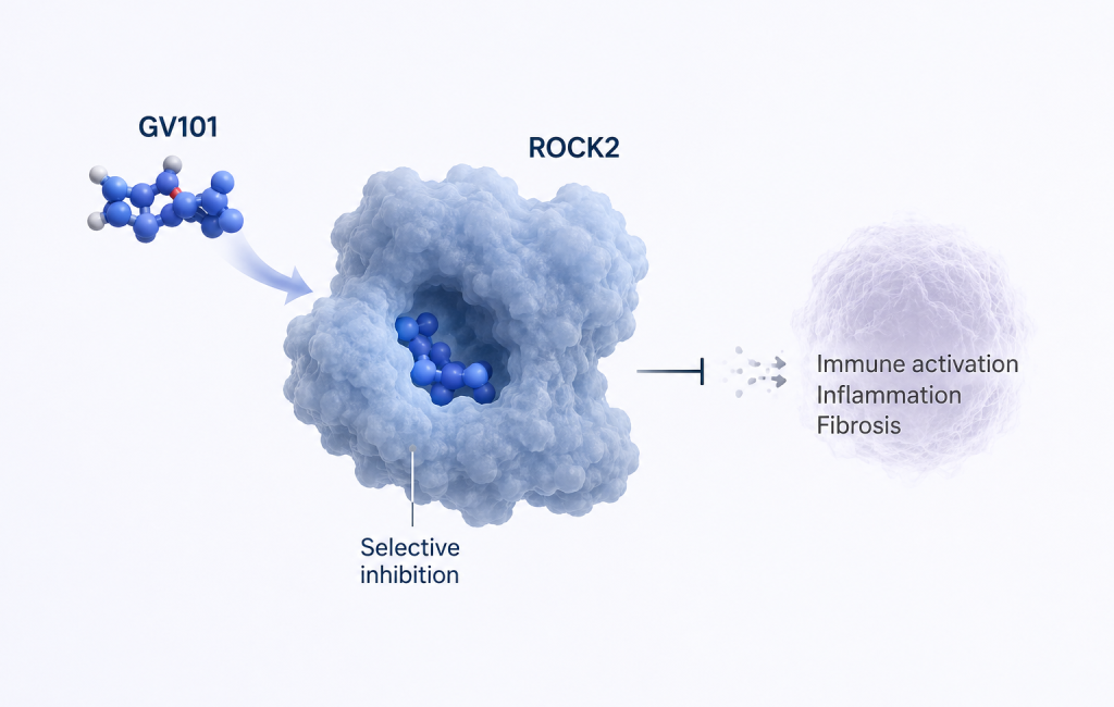 GV101 selective ROCK2 inhibitor shows response in chronic graft-versus-host disease