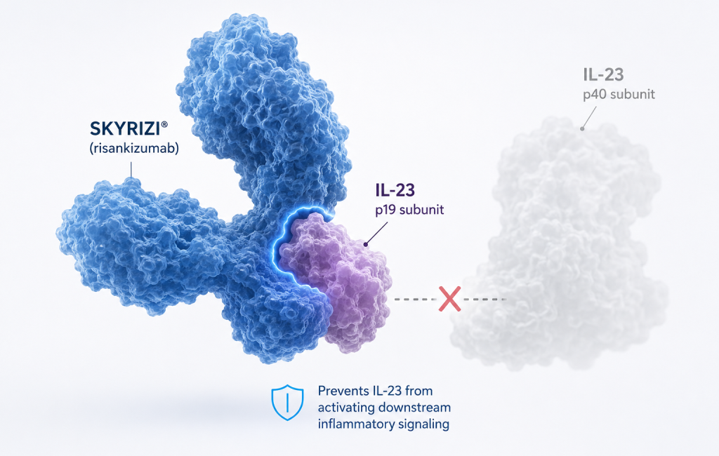 AbbVie submits EMA application for subcutaneous SKYRIZI induction in Crohn's disease
