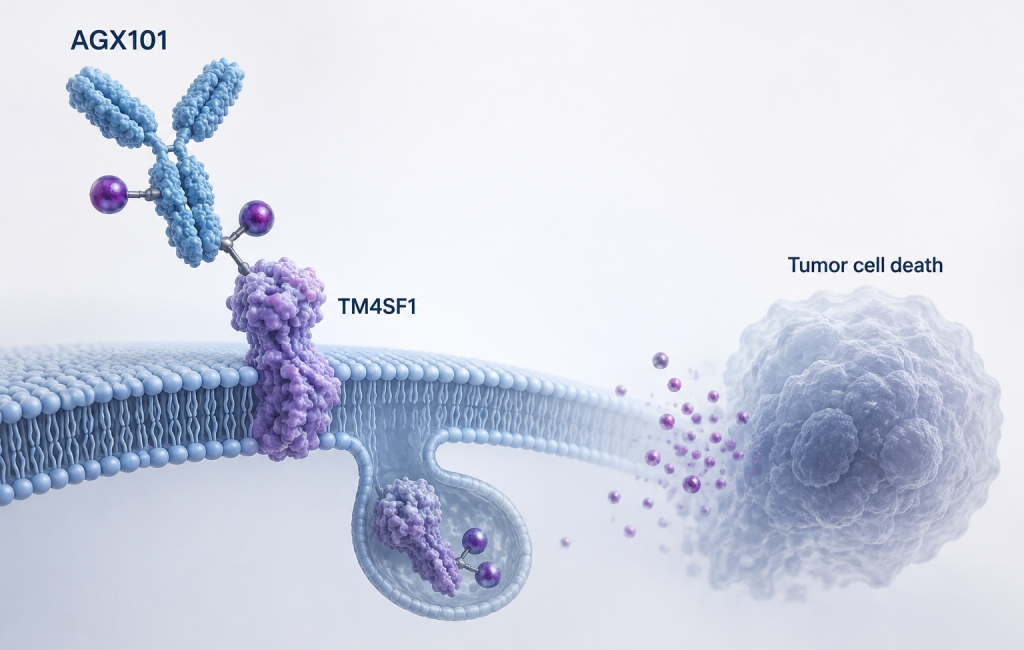 Natera Signatera ctDNA monitoring added to Angiex AGX101 Phase I trial