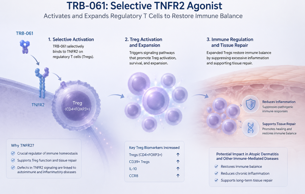 TRB-061 shows regulatory T-cell activation and expansion in Phase 1a study for atopic dermatitis