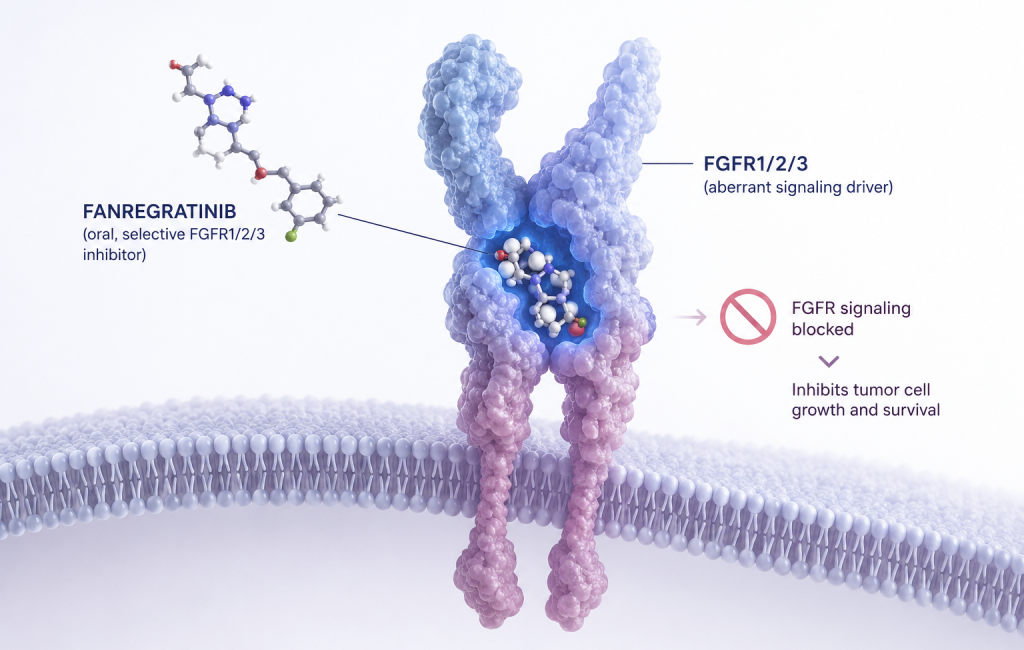 HUTCHMED ATLED fanregratinib approved in China for FGFR2-fusion or rearrangement intrahepatic cholangiocarcinoma