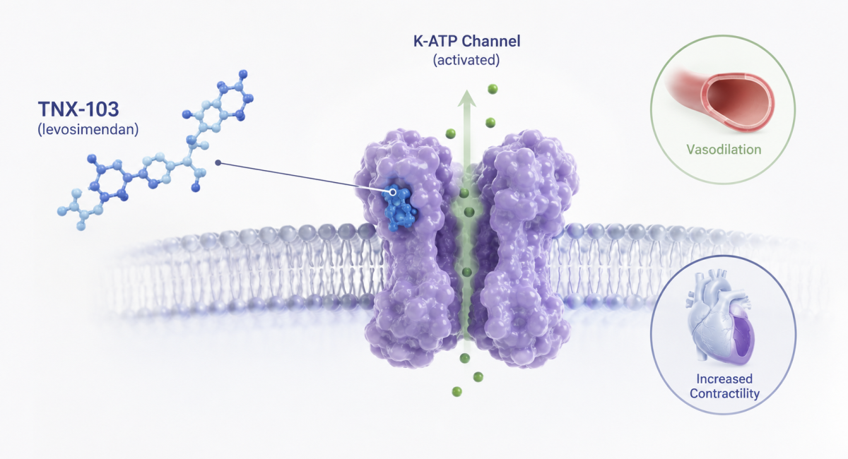 TNX-103 Phase 3 LEVEL trial results in PH-HFpEF patients