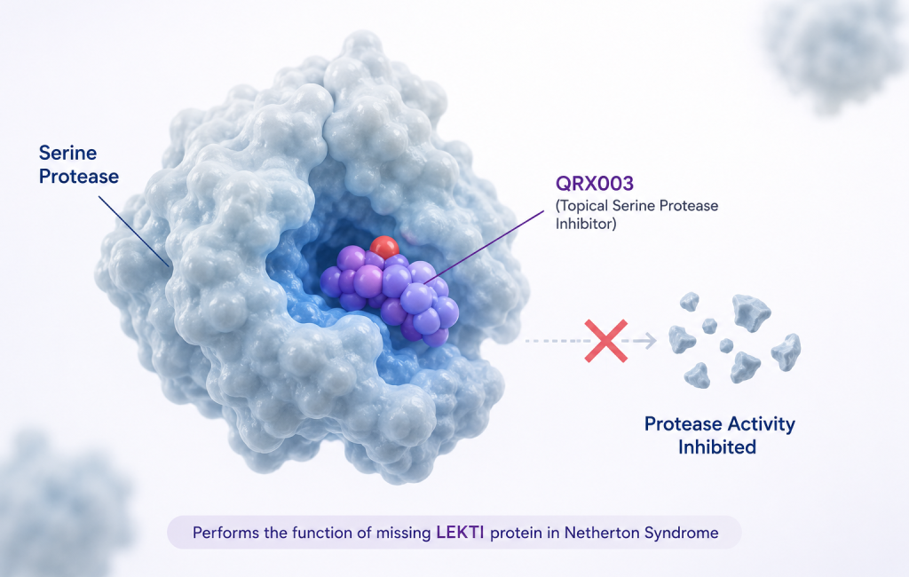 QRX003 4% lotion shows positive interim results in Phase 2/3 Netherton Syndrome study