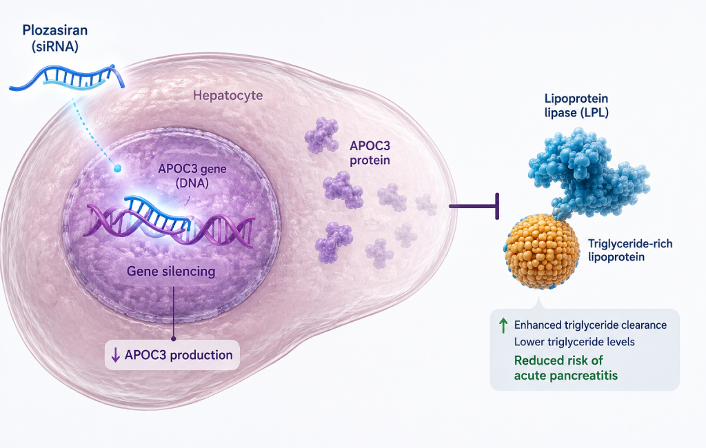 Plozasiran reduced triglycerides and acute pancreatitis events in Phase 3 SHASTA-3 and SHASTA-4 trials