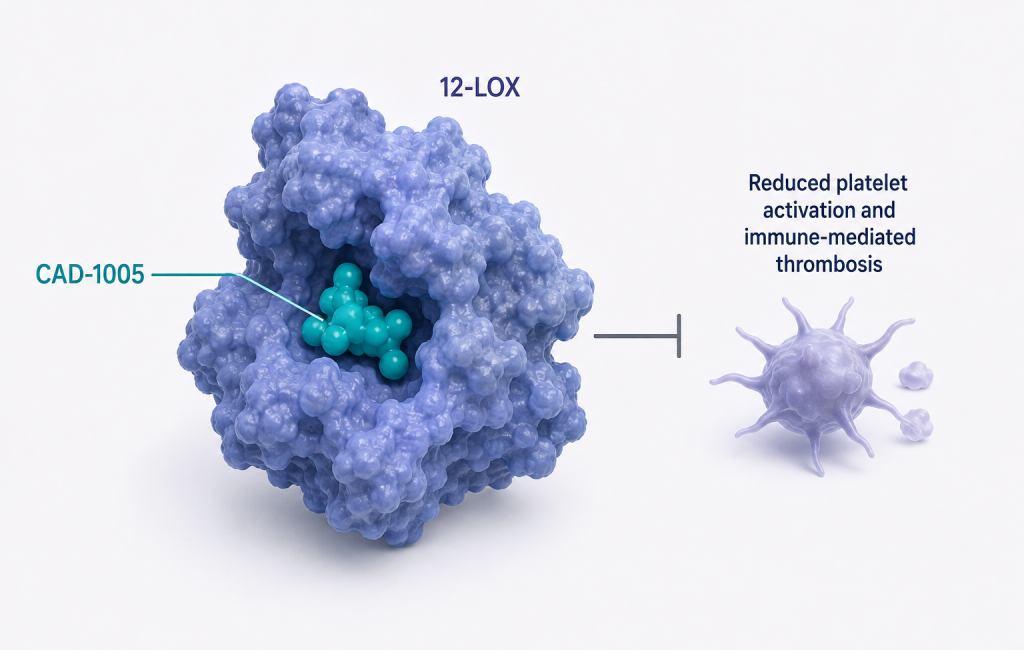 Cadrenal Therapeutics CAD-1005 Phase 3 study for heparin-induced thrombocytopenia