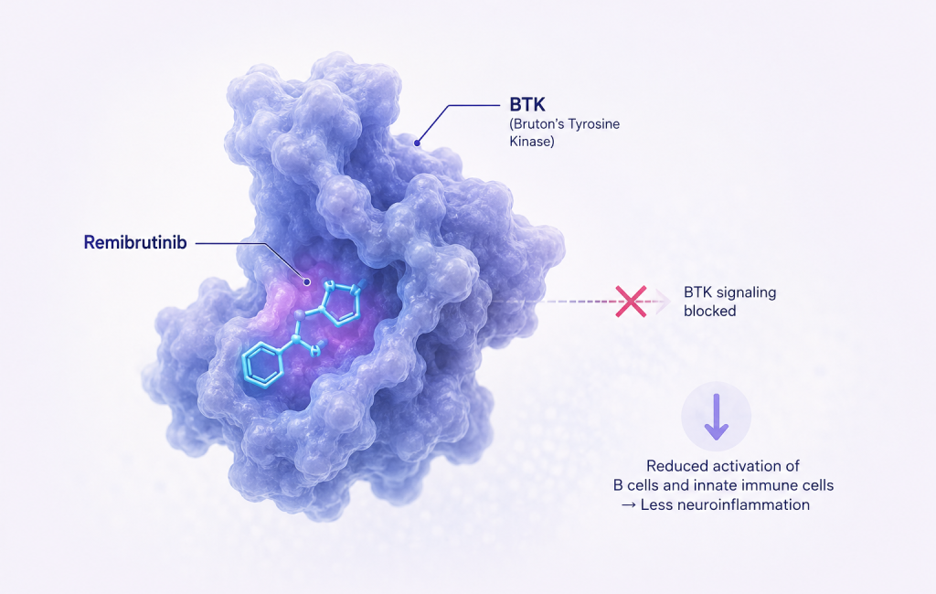 Novartis remibrutinib phase 3 trials in relapsing multiple sclerosis