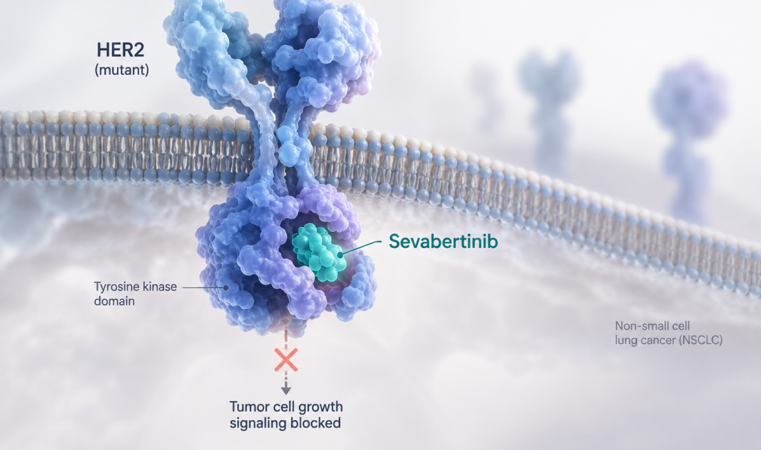 Sevabertinib receives FDA accelerated approval for first-line treatment of HER2-mutant non-small cell lung cancer