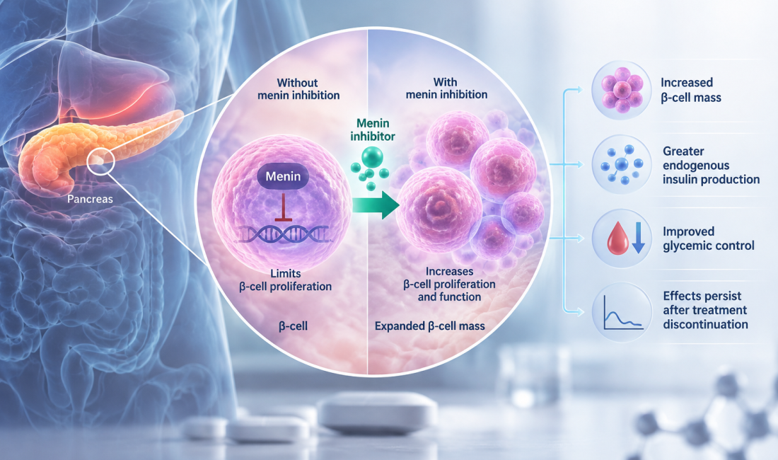 Kura Oncology spinoff Caspian Therapeutics advances KO-7246 menin inhibitor for diabetes