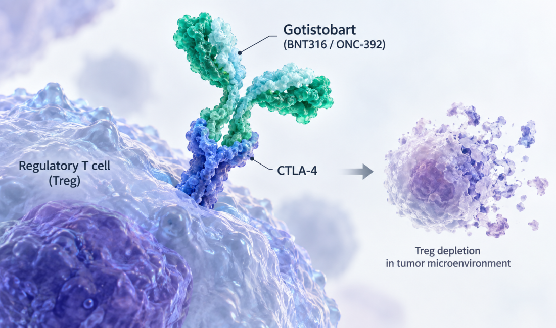 Gotistobart CTLA-4 immunotherapy extends overall survival in previously treated squamous NSCLC