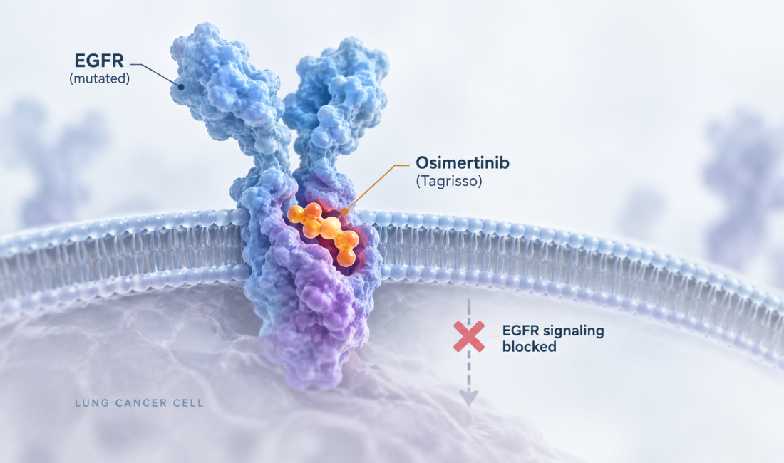 Tagrisso osimertinib delivers sustained eight-year overall survival benefit in EGFR-mutated NSCLC in the Phase III ADAURA trial