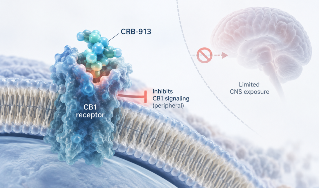 CRB-913 oral CB1 inverse agonist shows 5% weight loss in Phase 1b obesity trial