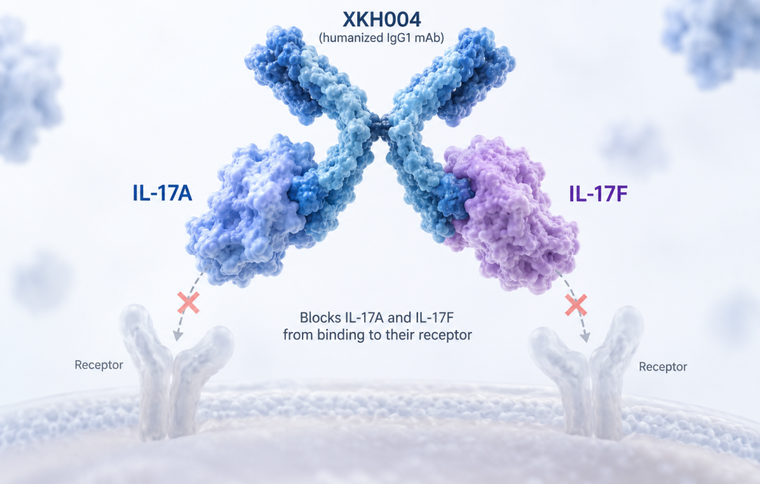 XKH004 dual IL-17A/F antibody shows significant efficacy in phase 3 trial of patients with active ankylosing spondylitis