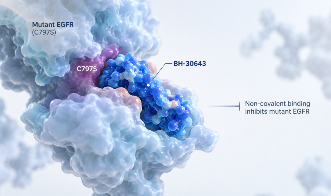 BH-30643 shows clinical activity in EGFR C797S-positive non-small cell lung cancer