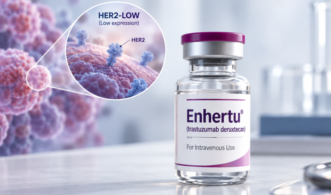 NICE recommends Enhertu (trastuzumab deruxtecan) for HER2-low metastatic breast cancer