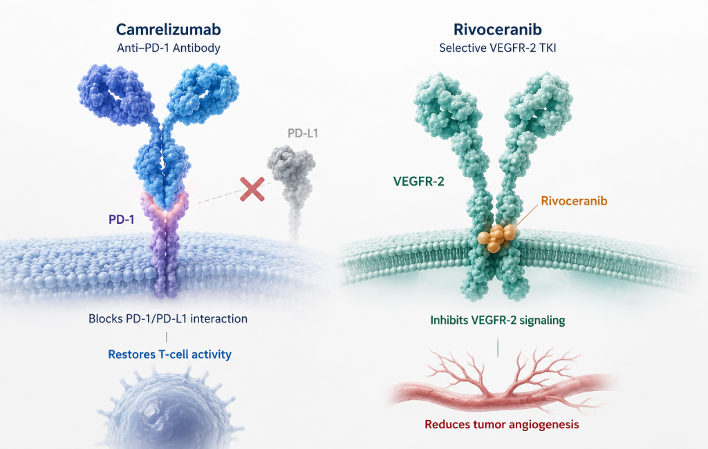 Camrelizumab plus rivoceranib improves survival across age subgroups in unresectable hepatocellular carcinoma