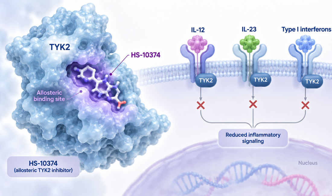 HS-10374 selective TYK2 inhibitor Phase 3 study in moderate-to-severe plaque psoriasis