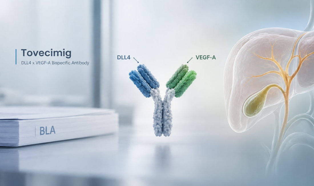 Tovecimig DLL4 VEGF-A bispecific antibody and FDA regulatory review in biliary tract cancer