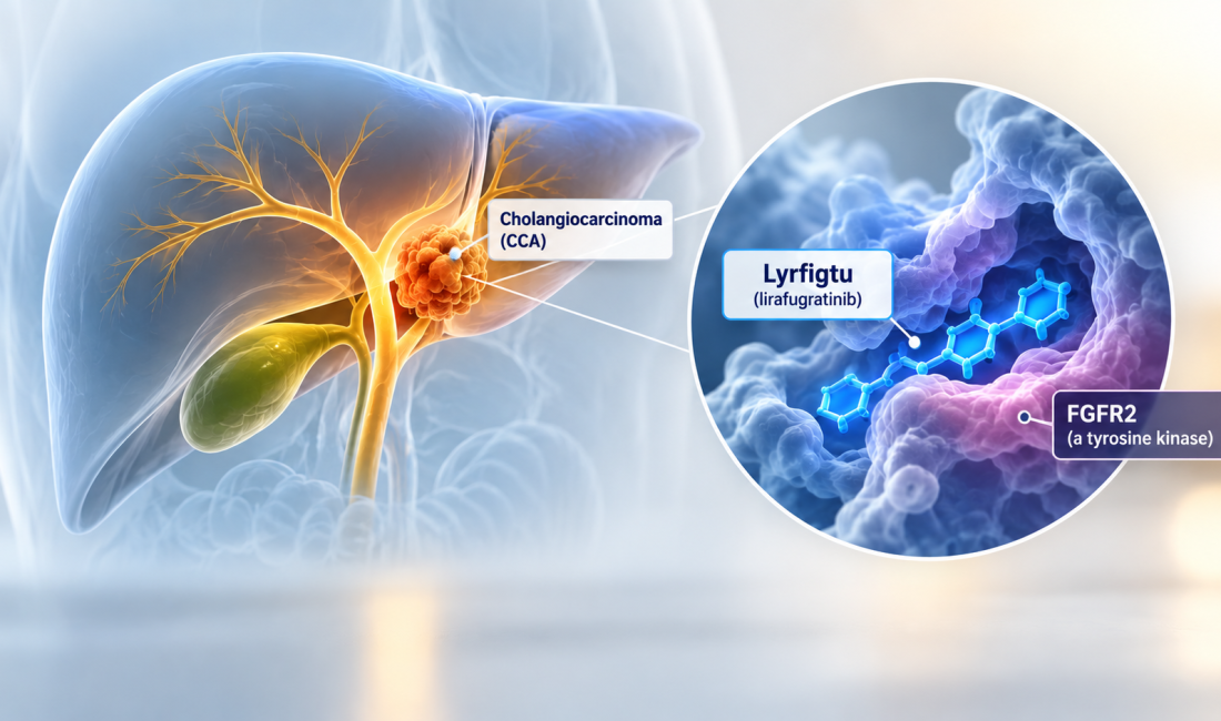 FDA approves Lyrfigtu lirafugratinib for FGFR2-positive cholangiocarcinoma