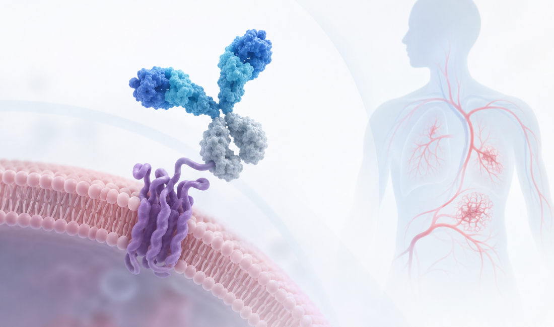 TX2100 Phase 1a clinical trial results for Hereditary Hemorrhagic Telangiectasia by Tectonic Therapeutic