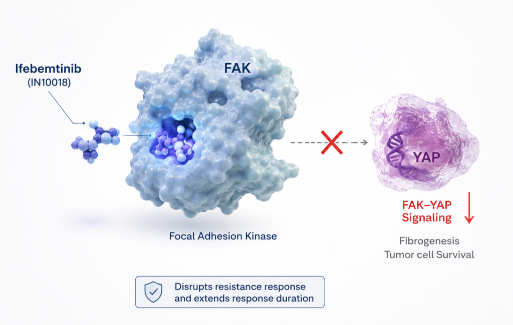 Ifebemtinib plus garsorasib shows antitumor activity in KRAS G12C-mutant colorectal cancer