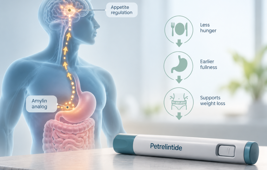 3D visual representation of petrelintide mechanism as an amylin receptor agonist regulating satiety and cardiometabolic markers.