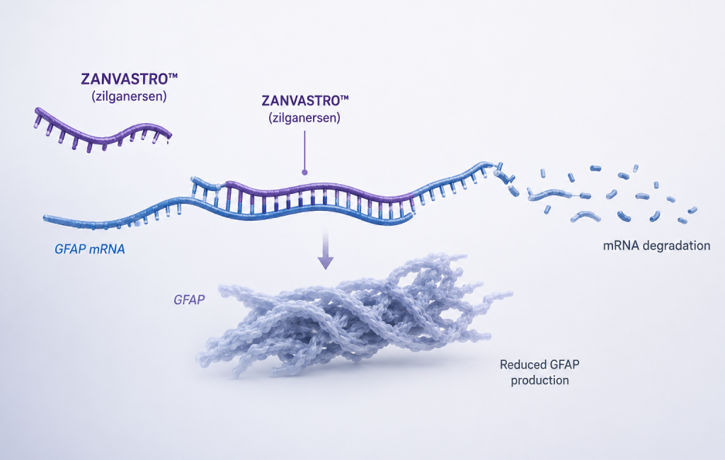 ZANVASTRO is approved for the treatment of Alexander disease in pediatric and adult patients
