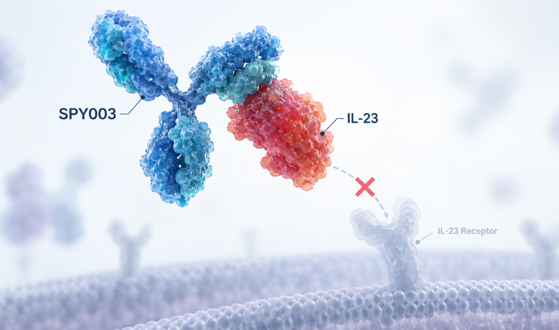 Spyre Therapeutics SPY003 anti-IL-23 antibody Phase 2 SKYLINE trial for ulcerative colitis