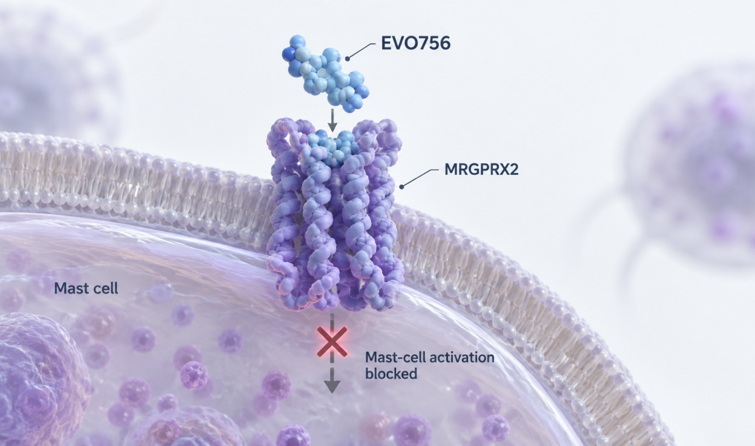 Evommune EVO756 oral MRGPRX2 antagonist Phase 2b atopic dermatitis trial and EVO301 IL-18BP fusion protein