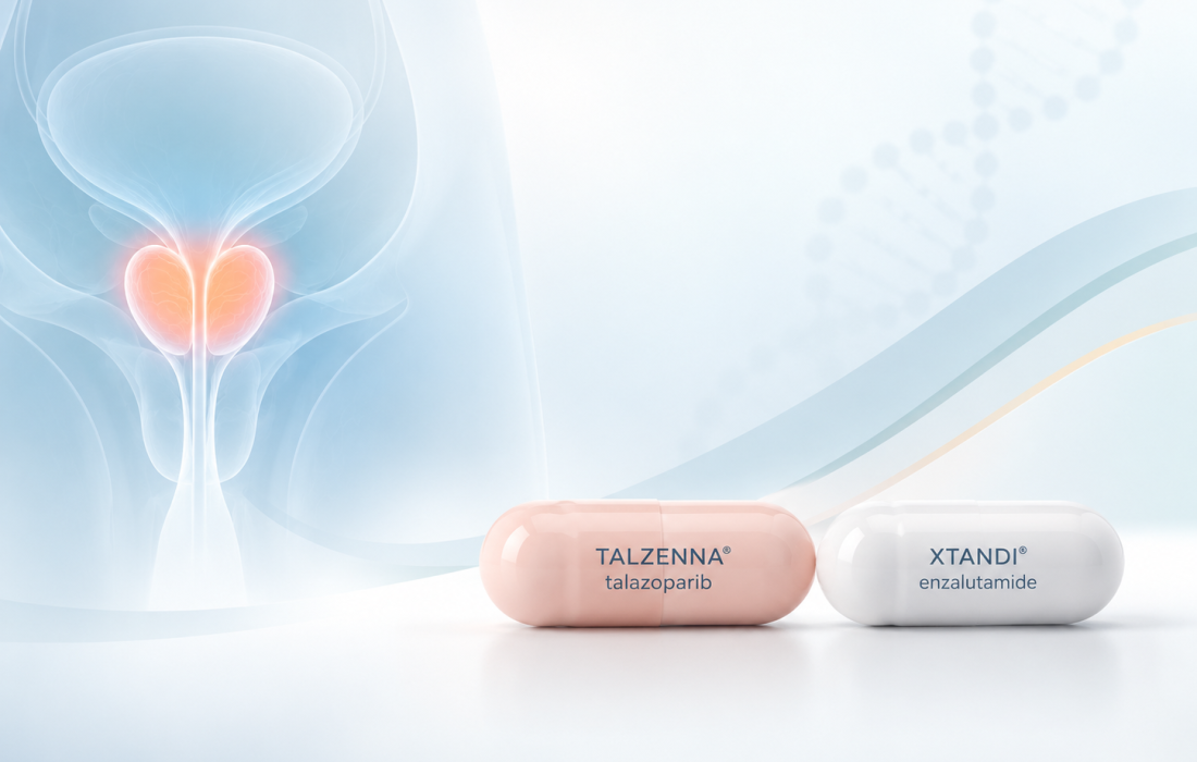 Pfizer TALZENNA plus XTANDI combination for HRR-mutated metastatic hormone-sensitive prostate cancer