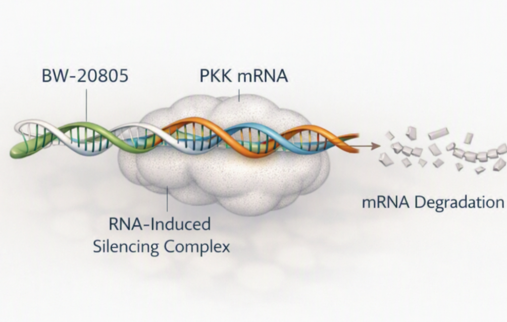 BW-20805 Phase II data show sustained PKK suppression and reduced hereditary angioedema attack rates