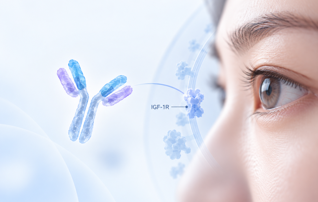 Illustration of SYCUME (teprotumumab N01) targeting IGF-1R in inactive thyroid eye disease