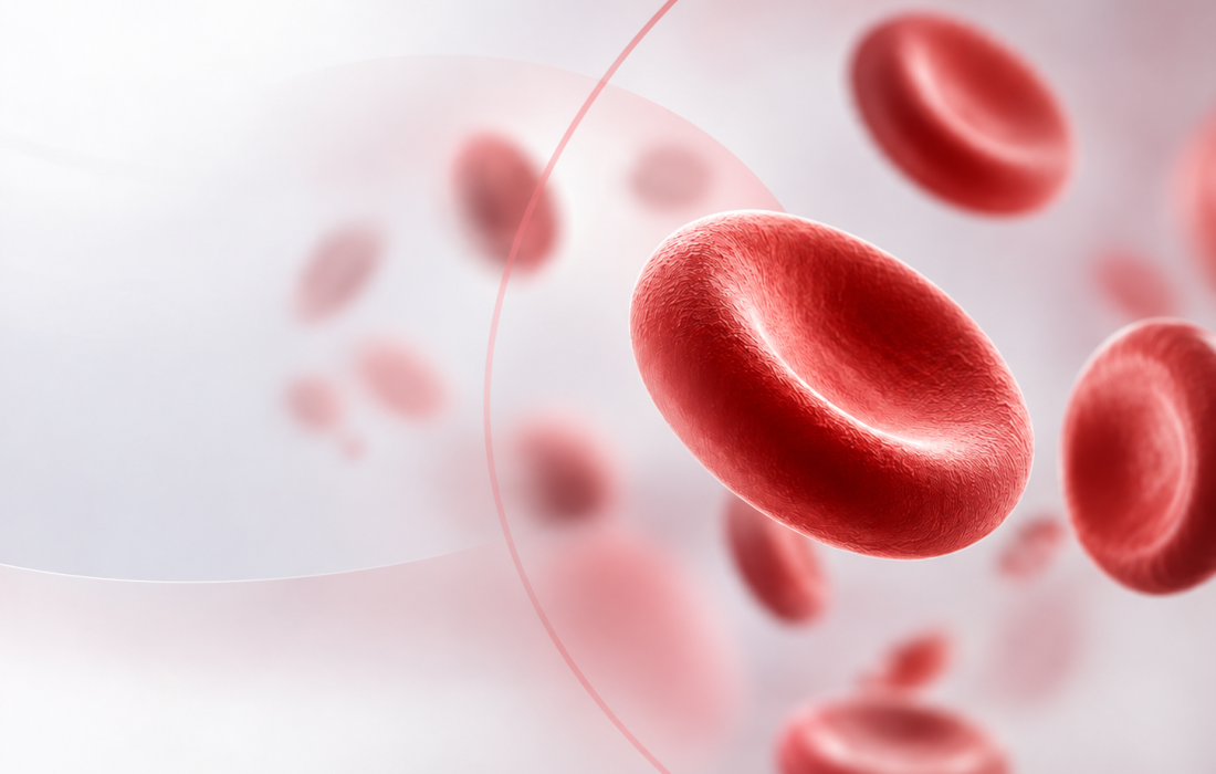 Rilzabrutinib oral BTK inhibitor for warm autoimmune haemolytic anaemia in the LUMINA 2 Phase 2b study