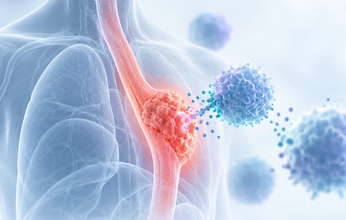 Scientific illustration of immune cells targeting an esophageal squamous cell carcinoma tumour, representing investigational tagmokitug combination therapy.